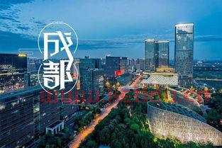 金融业的配套服务业（金融配套服务包括什么）