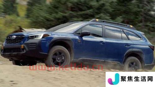 荒野电动汽车价格表最新（荒野より）