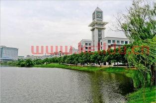 财经大学和金融学的区别（财经大学与金融大学有什么区别）