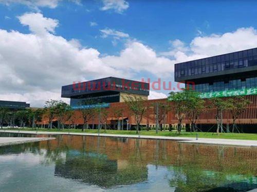 金融学最强的哪所香港大学（香港哪个大学金融比较好）