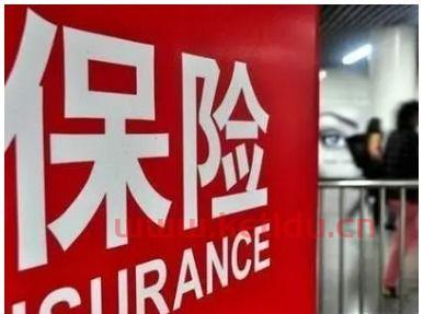 金融类专业学什么好就业(金融学类哪些专业最吃香)