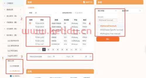 包含金融中的DTF是什么意思的词条
