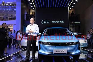 楚祥丰电动汽车价格表（楚祥科技有限公司）
