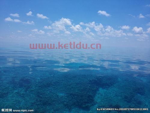 三沙回收废品价格表图片（三沙什么价格）