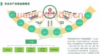 金融服务业产业链论文（金融服务业产业链论文范文）