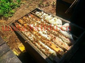 徐州铜废品回收价格表行情(徐州黄铜回收价多少钱一斤2021) 徐州铜废品回收价格表行情(徐州黄铜回收价多少钱一斤2021)