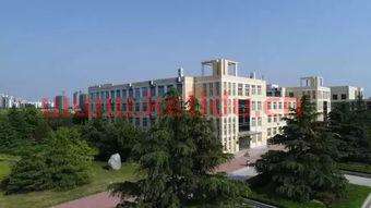 大二国际金融学什么专业好（国际金融大专就业前景）