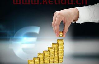 金融中的红料是什么意思（什么叫红料在线消费）