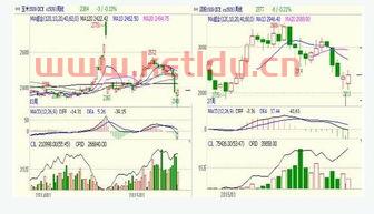 港口玉米期货价格走势（港口*玉米行情走势）