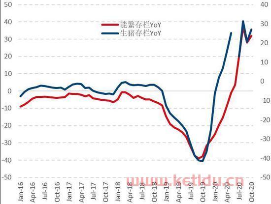 国信期货看盘软件下载（国信期货交易软件）