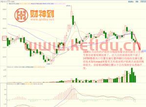 沪铝期货最新实时行情