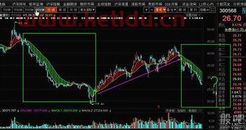 星源材质股票股吧