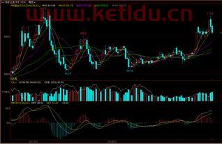 铁矿期货价格走势如何看（铁矿石期货价格走势波动分析）