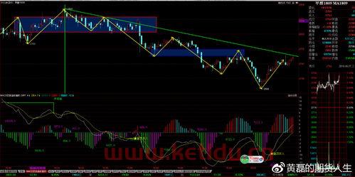 期货比现货的价格高（期货比现货的价格高还是低）