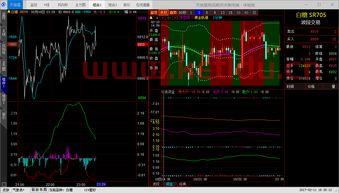 期货行情分析走势软件(期货行情下载) 期货行情分析走势软件(期货行情下载)