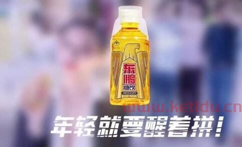 东鹏饮料公司简介