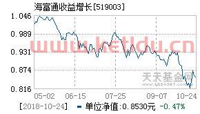 海富通回报基金净值