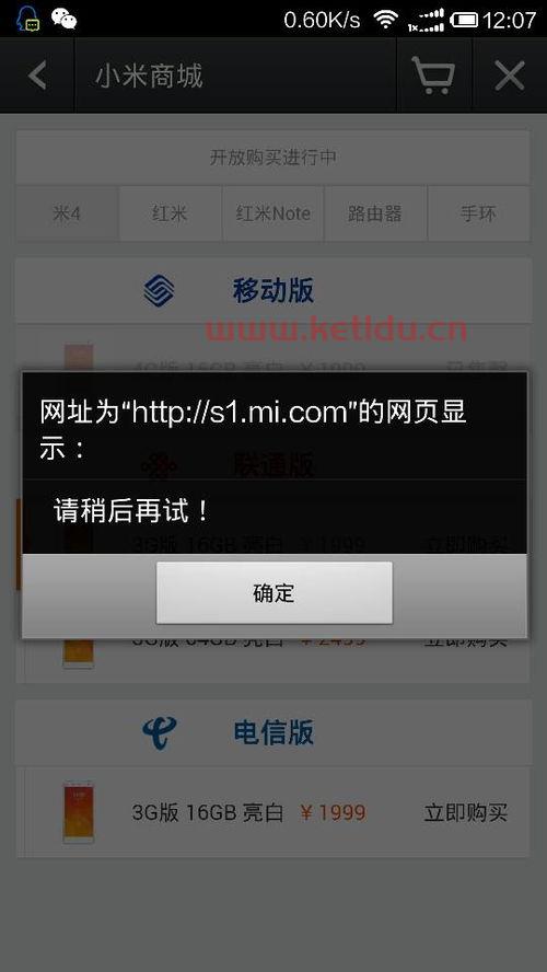 什么意思