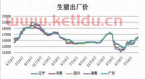 期货看外盘用什么软件看(在哪可以看期货外盘实时数据)