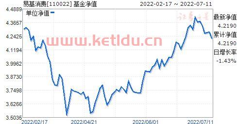 110022基金净值今日