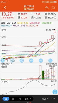 张江高科股票
