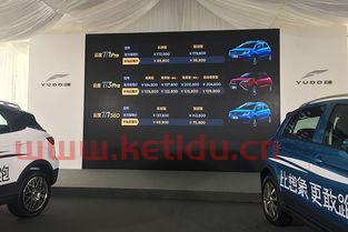 云度电动汽车价格表(云度纯电动车)