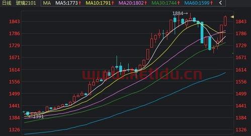 花生期货牛市行情分析(花生期货牛市行情分析)
