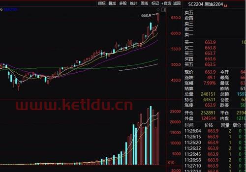 布油期货行情分析(布油期货行情 实时)