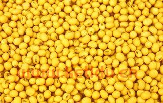 美盘大豆期货交易时间(美大豆期货交易时间休息)