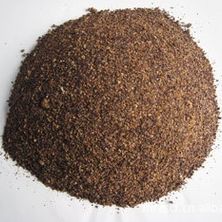 期货菜粕现货的价格(菜粕期货多少钱一手)