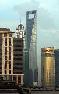 上海环球金融中心第11层(上海环球金融中心第11层是什么)