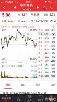 华控赛格股票