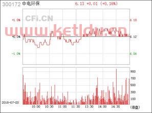 300172中电环保