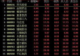 开元投资股票