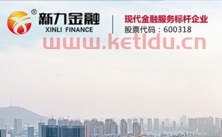 安徽新力金融股份有限公司