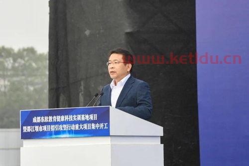 大连东软控股有限公司