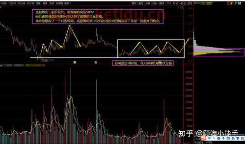 股票里如何找龙头股份公司〖龙头股份股票怎么看 如何在操作中捕捉龙头股 〗