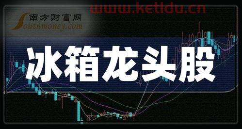冰箱龙头股份有哪些股票〖高科技上市公司有哪些 〗