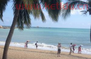 6人去海南大概多少钱旅游,去海南旅游要多少钱