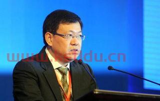 民生银行副行长张颖〖张颖的主要学术成果〗