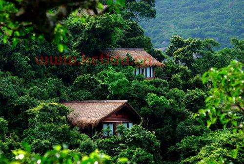 三亚旅游报价三亚旅游团报价7天六夜多少钱(海南山里面的酒店价格)