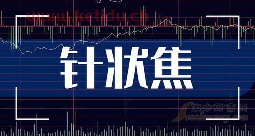 科创板前十大龙头股 (微科技龙头股票排名榜最新)