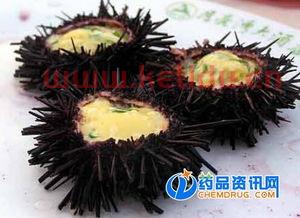 海胆是什么东西(海胆的分类和价格图片)
