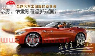 上海汽车贴一套龙膜多少价格(龙膜的分类及价格及图片)