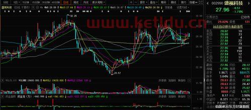盛视科技龙头股票一览表〖创业股票都有哪些 〗