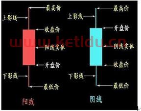 炒股的净值是什么意思(股票曲线上的净值)
