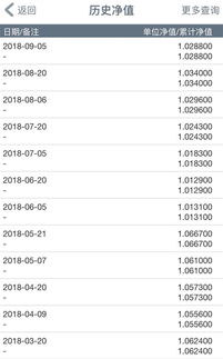 理财产品净值什么意思 (净值型理财类货基)