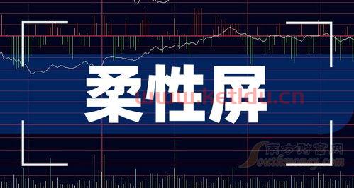 柔性屏幕概念股龙头有哪些(柔性屏幕科技龙头股票排名)