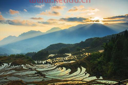 海南地方黄花梨价格多少〖海南黄花梨值多少钱一克〗