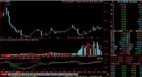 科技股票有哪些龙头股 (云技术科技龙头股票排名)